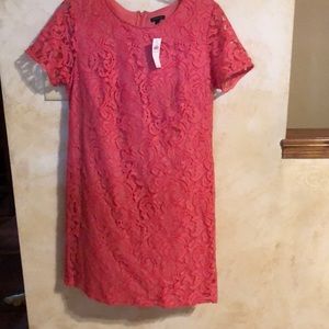 NWT Ann Taylor Dress